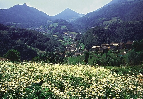 Soluna-Garten