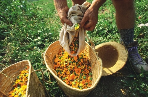 Soluna-Garten